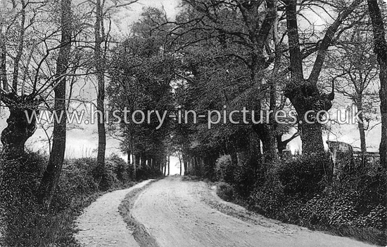 Rectory Lane, Loughton, Essex. c.1916